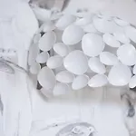 公寓 Micky S 波尔蒂芒