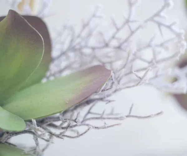 아파트 Micky S 포티마오