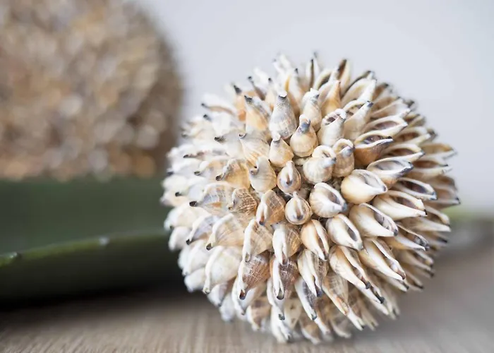 Micky S 아파트 포티마오