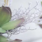 アパート Micky S ポルティマン