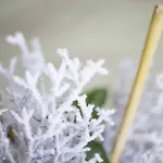 アパート Micky S *