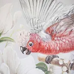 Micky S Διαμέρισμα *