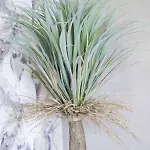 Micky S アパート