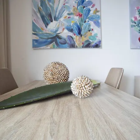 Micky S ポルティマン