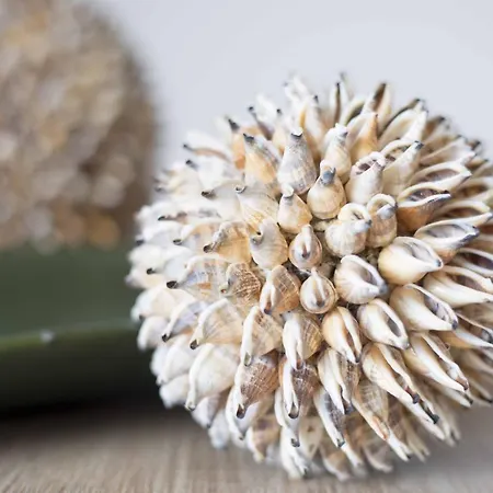 Micky S アパート ポルティマン