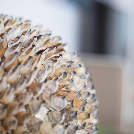 Micky S Apartamento *