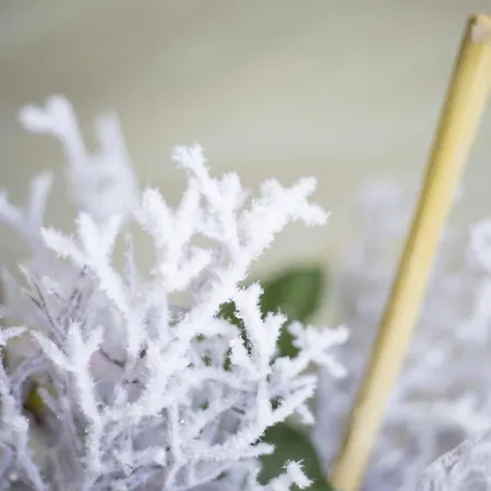 Apartamento Micky S *