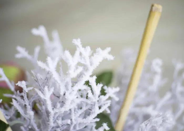 Appartamento Micky S *